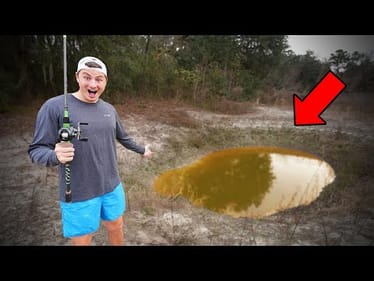 Fishing HUGE SinkHole For My BIGGEST FISH (Surprising!)