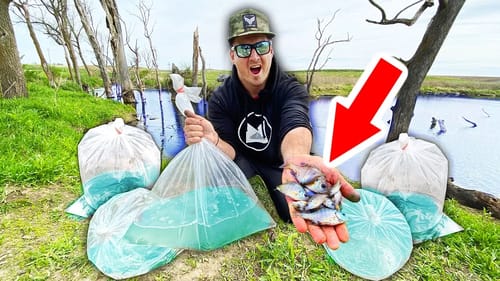 Stocking Pond with 2,500 BITE SIZE Bluegills!! (GIANT Bass Food)