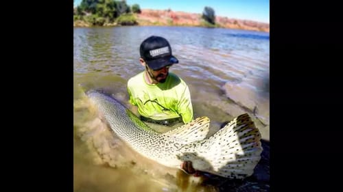 Drag SCREAMING fish TOWS our boat! 130 lb Gator Gar!