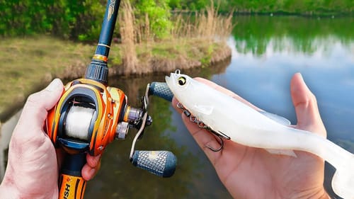 BIG Swimbait ONLY Fishing Tournament (Ft. @1Rod1ReelFishing )