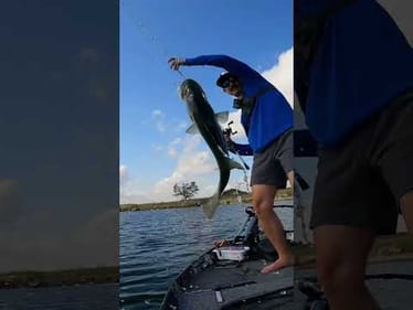 POV: your average bass fisherman’s hook set #Fishing ￼