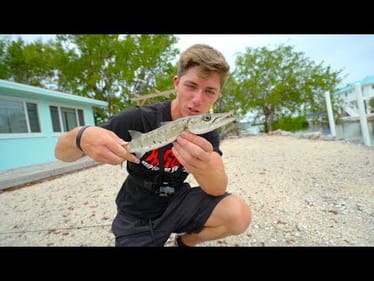 These Little Canal Fish Are VICIOUS