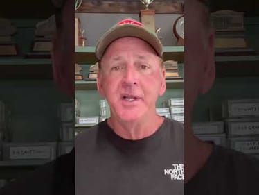 Understand October Lure