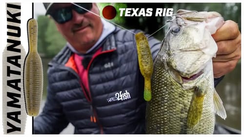 How to Fish the Yamamoto Yamatanuki | Texas Rig