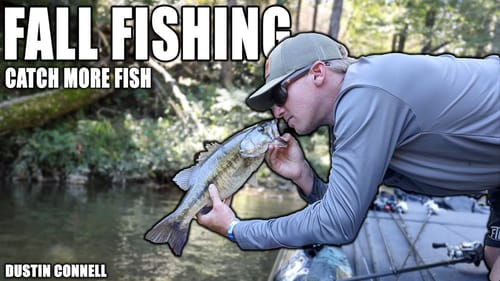 Catch More Fish THIS FALL! (Best Fall Lures)