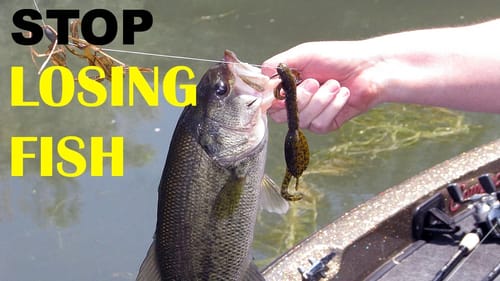 How To Never Lose A Fish