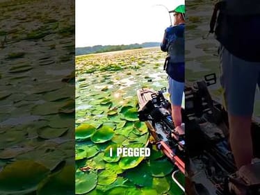 A Summer Bass Fishing Tip That Actually Works