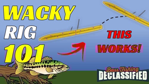 These WACKY RIG Tips Will Improve Your Fishing For Bass