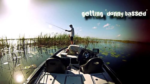 Fishing for Headaches