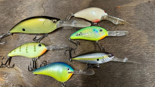 Rating The Best Deep Diving Summer Crankbaits…