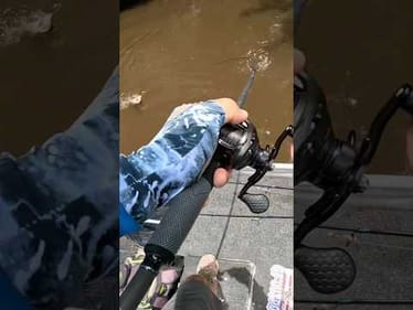 This BASS Crushed the BUZZBAIT!! #bassfishing #basstournament #fishing