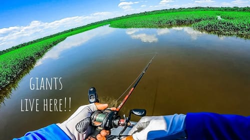 Searching For GIANT INVASIVE Fish In a TINY CREEK!! || Chasing Giant Snakehead