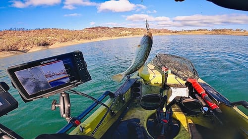 Lake Berryessa Tournament of Champions(Yak-A-Bass Day 1)