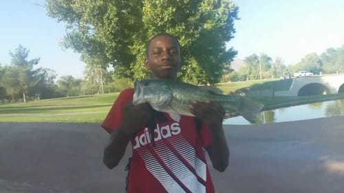 Good Day Of Fishing