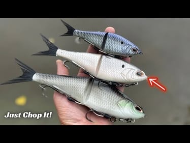 Why Are These Baits So Good? It’s The Chopping Motion! 