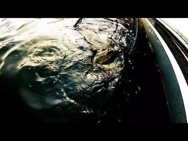 catch.  release.  #Bigbassdreams