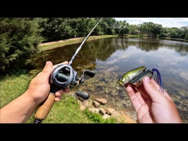 TOPWATER Pond Hopping For MEAN SPRING BASS! (Frog fishing)