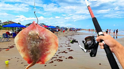 Shark Fishing the WORLD'S BUSIEST Beach (We Shut it Down)