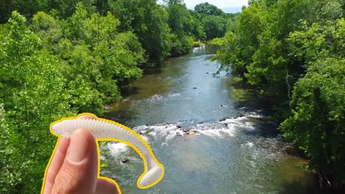 How Did I Forget This Lure!!