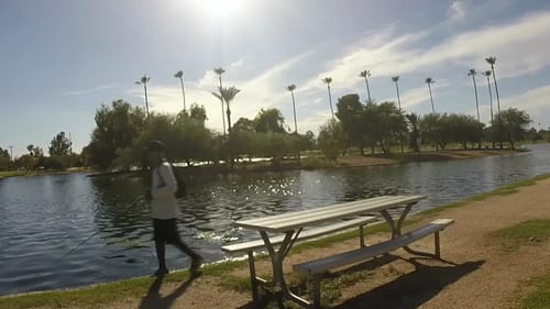 Afternoon Bass Fishing In The Dog Days Of Summer (Skunk!)