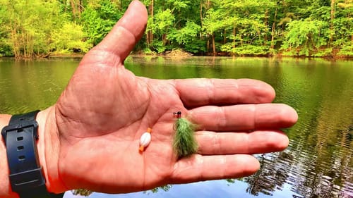 Super Simple Jig & Bobber Setup That Drive Crappie Crazy!