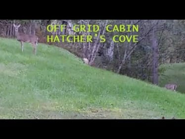 Deer Hunting trip #2 at the Off Grid Cabin, seeing several Doe