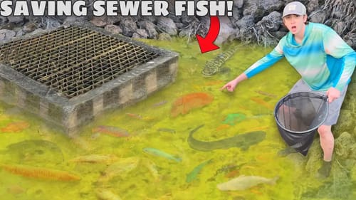 Saving AQUARIUM FISH From DRIED UP SEWER!