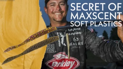 The BEST Maxscent Fishing Lure [SOLD OUT]