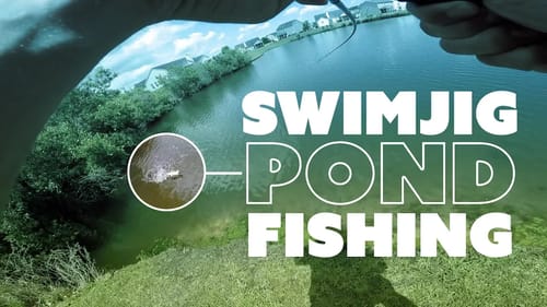 FISHING in My BACKYARD with a Swim Jig