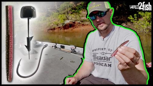 Neko Rig Tips for Shallow Spring Bass | Guaranteed Bites‼️