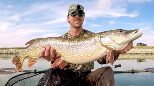 Fishing MONSTER Pike on an Interstate Slough!