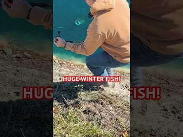 Big time bass in freezing weather 🥶