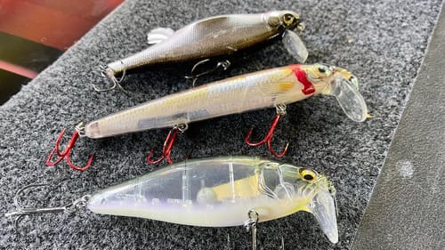 Ignore Fall Wake Baits If You Aren’t Interested In Catching Quality Bass