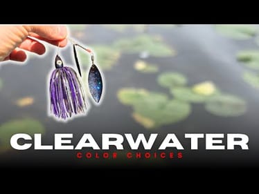 Clearwater Colors That Excel During Tough Fishing Conditions!