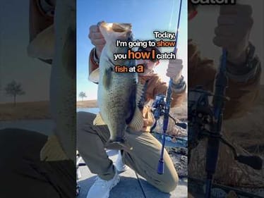 Exploring a New Lake to Find and Catch Fish #bassfishing #fishing