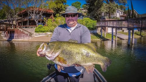 11 lb Bass Eats A Bluegill Swimbait! New Personal Best!