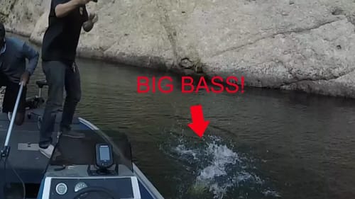 He Got CRUSHED At The Boat!! - Taking A Subscriber Fishing!