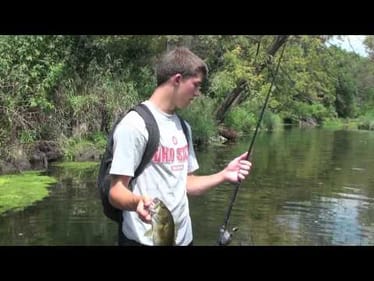 Little Creek, Big Smallmouth