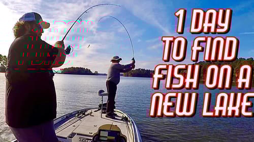 Clarks Hill Lake Spotted Bass