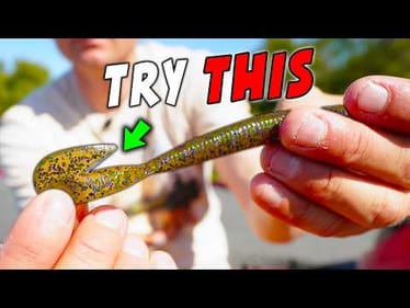 You'll NEVER Regret Throwing this WORM