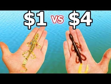 CHEAP vs EXPENSIVE Lizard Fishing CHALLENGE!