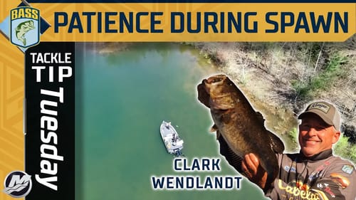Clark Wendlandt breaks down strategy for spawning bass