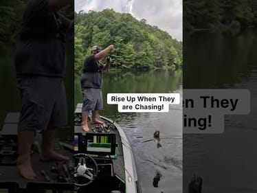 The BEST Bait for Busting BASS