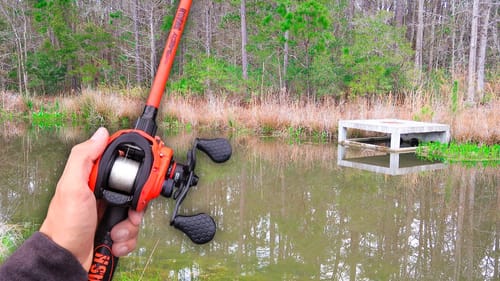 Unexpected Catch While Fishing HIDDEN Swamp!