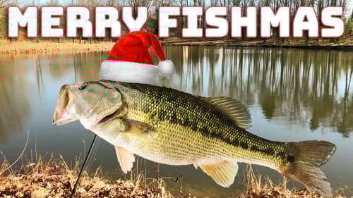 Hope You Had a Merry Christmas !