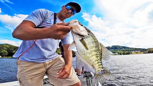 Catching BIG Crappie Fishing with JIGS Tipped with Minnows!
