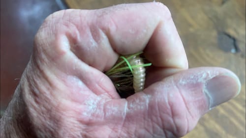 You Won’t Believe My Secret Early Season Rock/Riprap Lure…