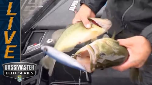 MISS RIVER: Brandon Palaniuk doubles up on topwater