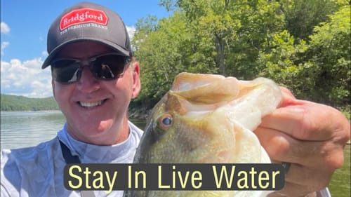 Every Lake Has “Dead Areas”…THIS Is How To Avoid Them…