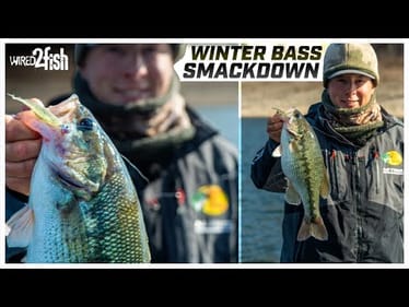 Winter Bass Fishing | Electronics and Damiki Rig Basics